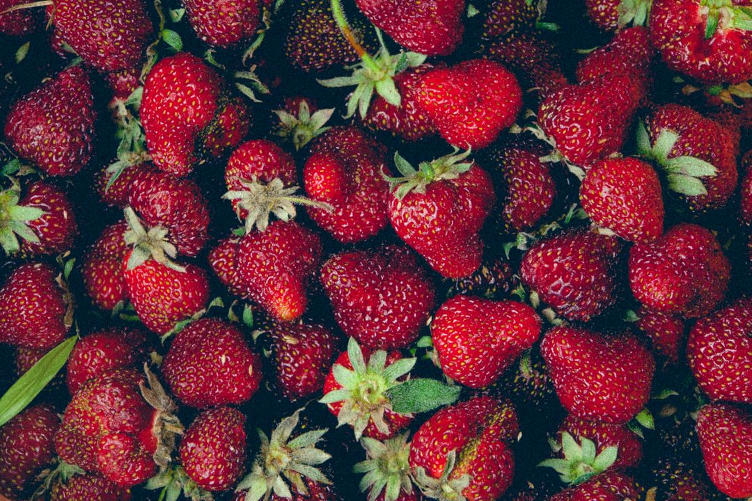 Strawberries - Free Images, Stock Photos and Pictures on Pikwizard.com
