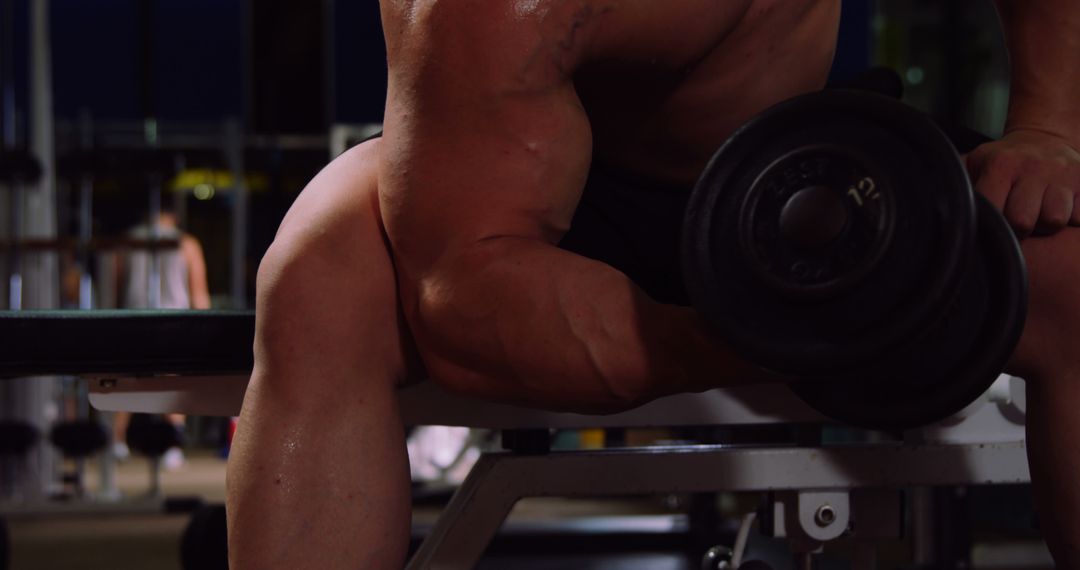 Bodybuilder Doing Bicep Curls with Dumbbells in Gym - Free Images, Stock Photos and Pictures on Pikwizard.com