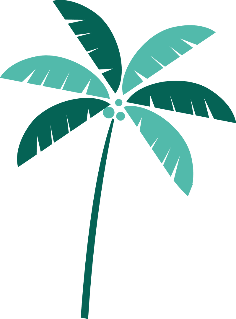 Minimalist Tropical Palm Tree Illustration with Transparent Design
