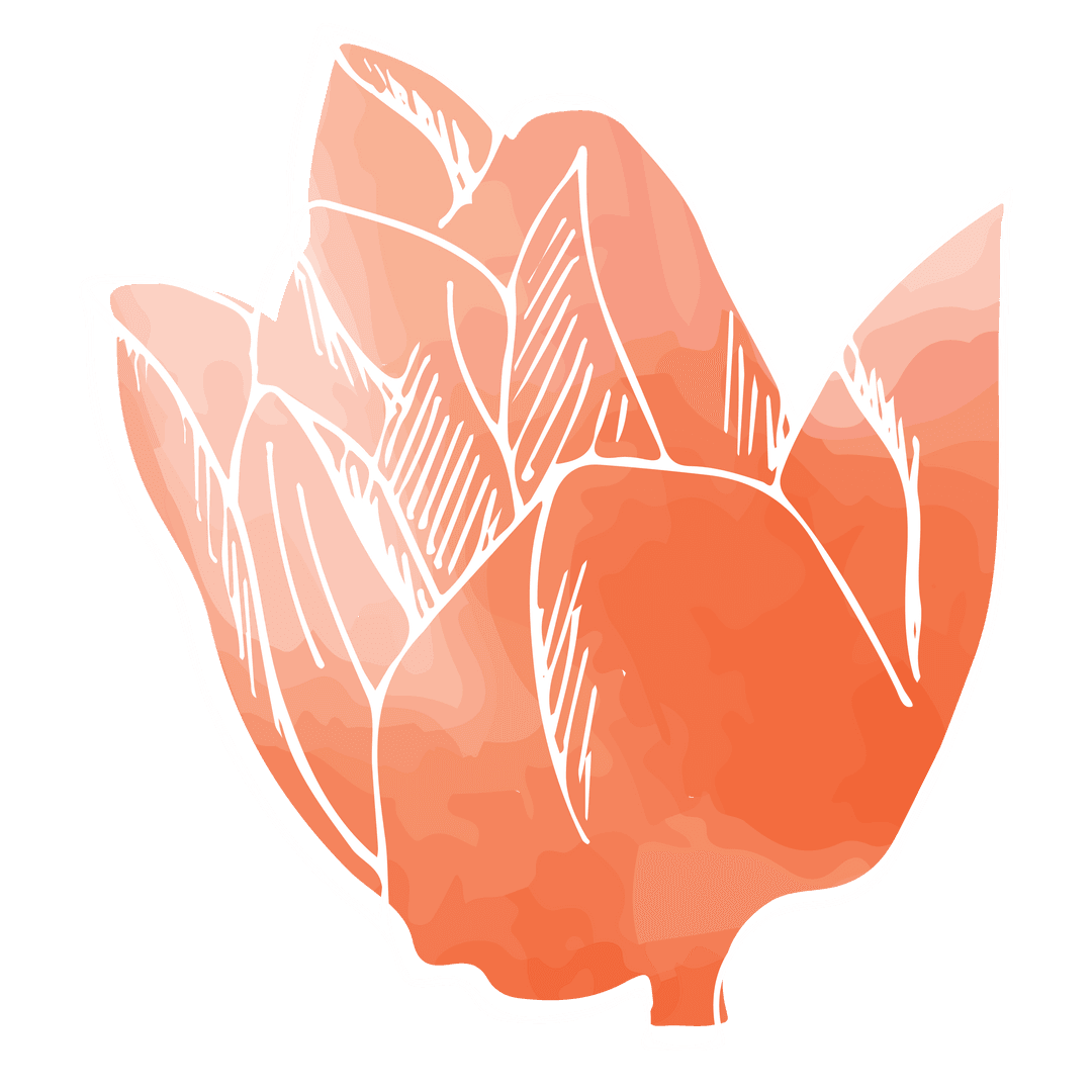 Transparent Orange Flower Illustration on Transparent Background