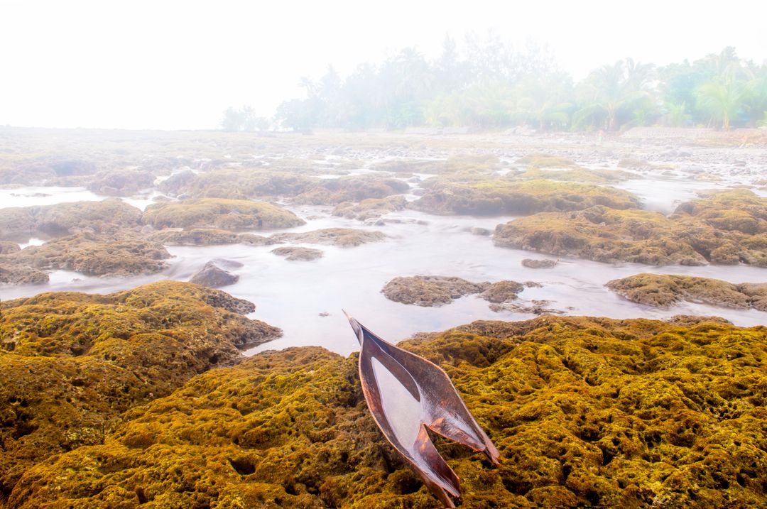 Abandoned Traditional Canoe on Misty Coastal Shoreline - Free Images, Stock Photos and Pictures on Pikwizard.com