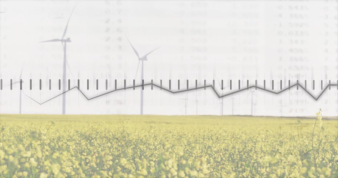 Wind Energy in Blooming Field with Graph Overlay