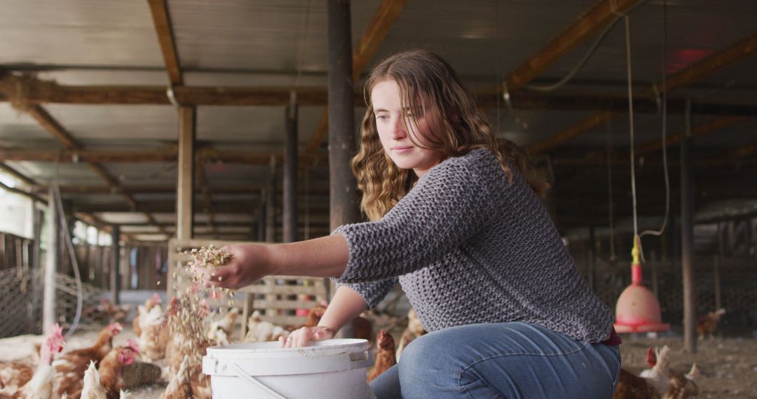 Young Woman Feeding Chickens on Farm - Free Images, Stock Photos and Pictures on Pikwizard.com