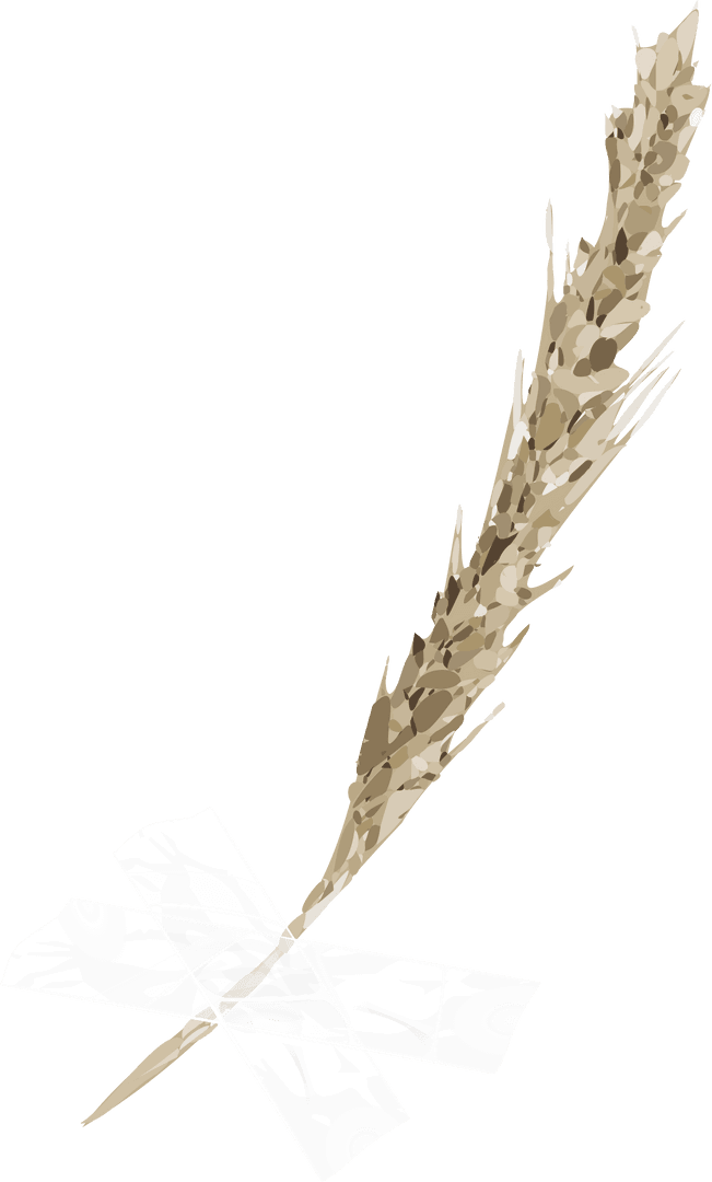 Transparent Dried Botanical Spike on Textured Background