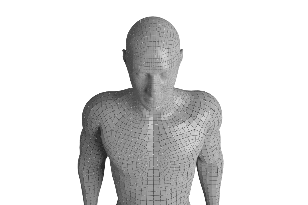 Digital Grey Human Bust on Transparent Background in Vector Style