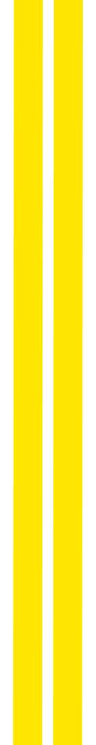 Vertical Yellow Lines on Transparent Background