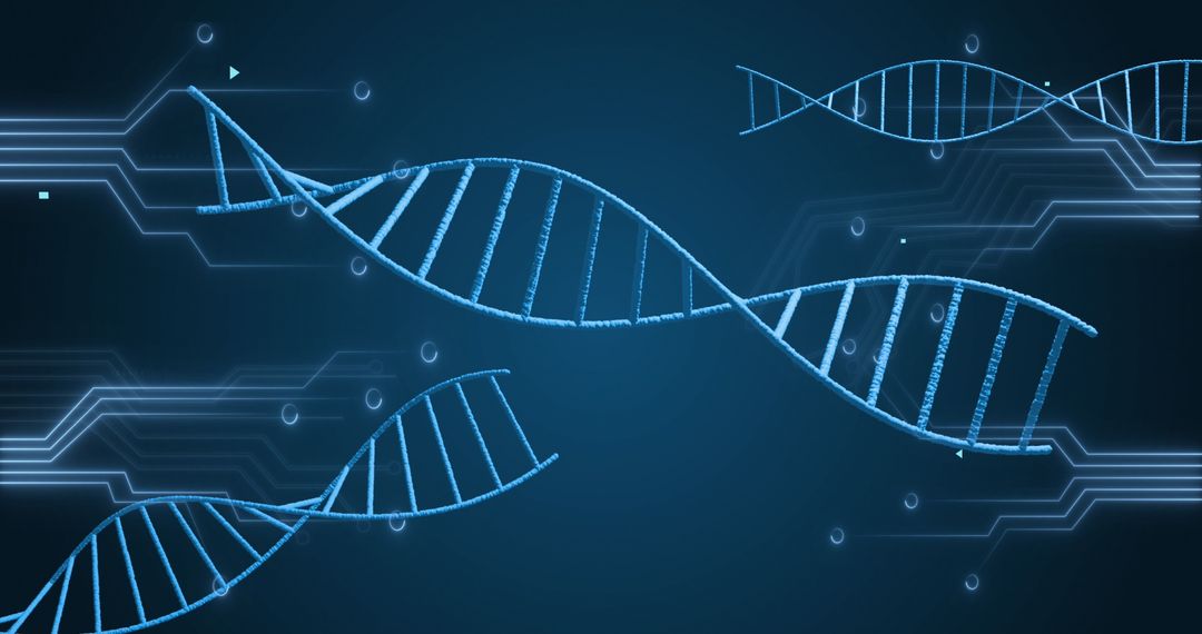 DNA Structures with Microprocessor Connections