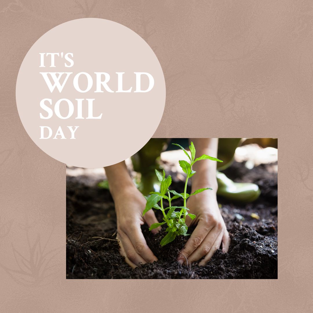 World Soil Day Celebration with Planting Activity in Garden