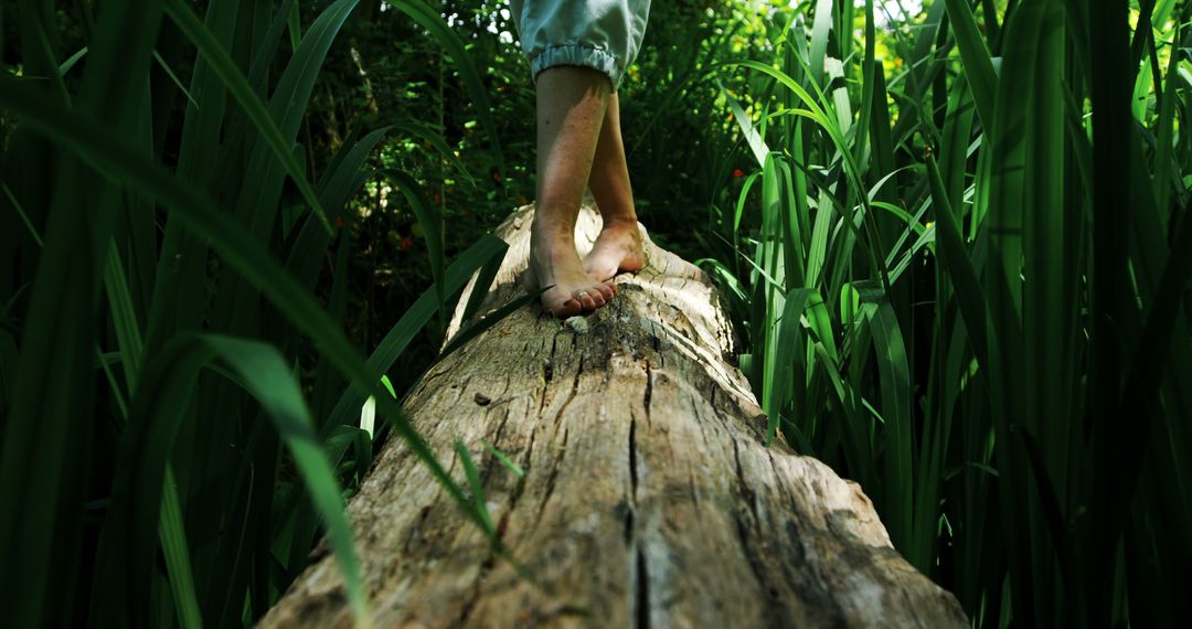 Barefoot Person Walking on Fallen Tree Log in Forest - Free Images, Stock Photos and Pictures on Pikwizard.com