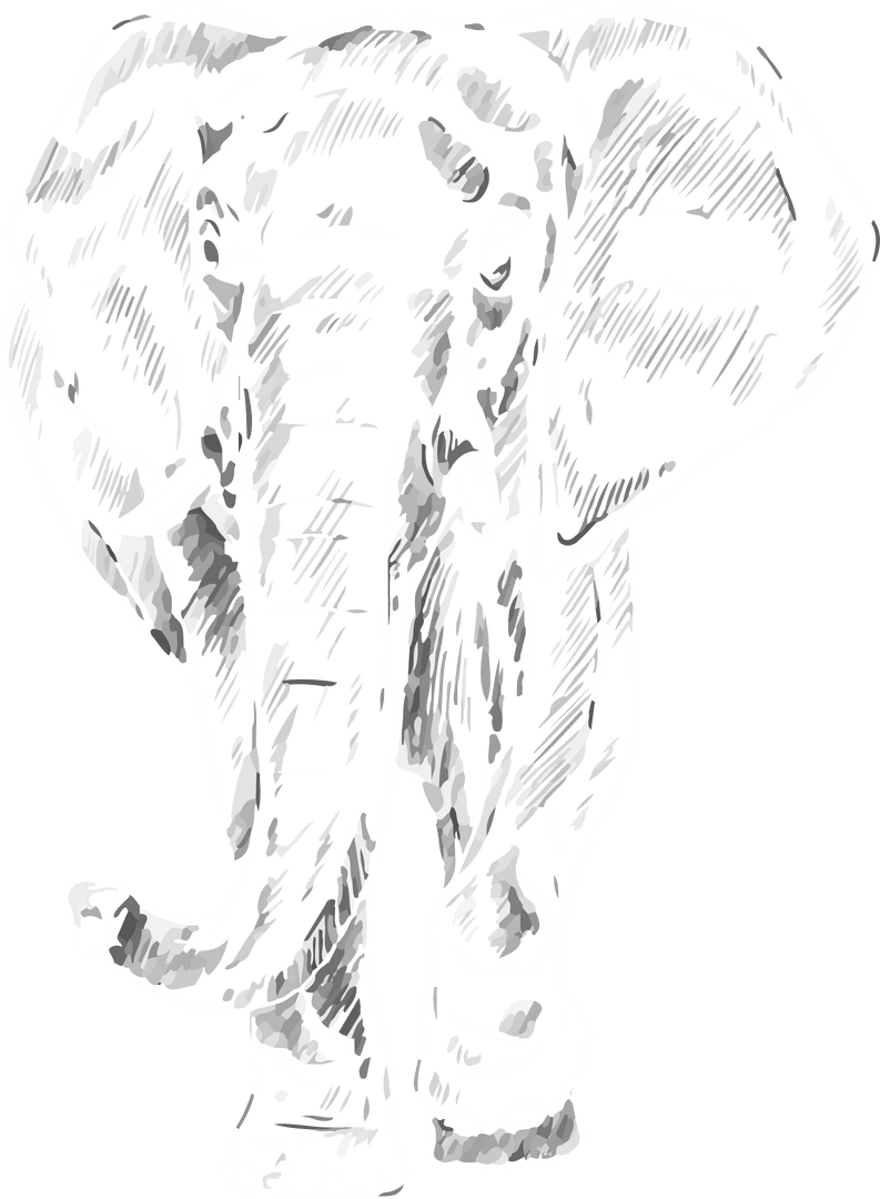 Intricate Elephant Sketch in Monochrome with Transparent Background