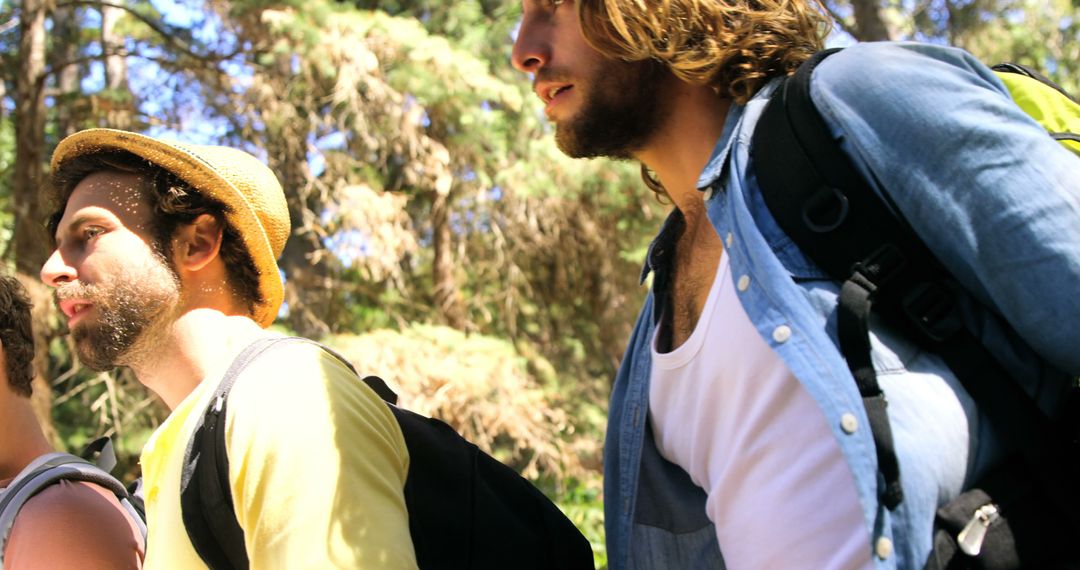Adventurous Men Hiking Through Forest with Backpacks