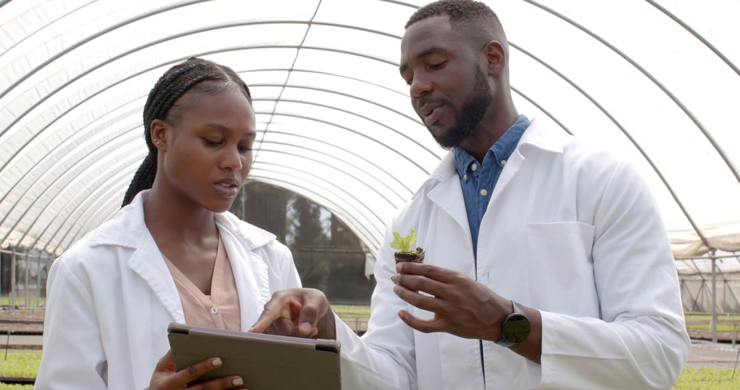 Scientists Discussing Hydroponic Techniques in Greenhouse with Tablet