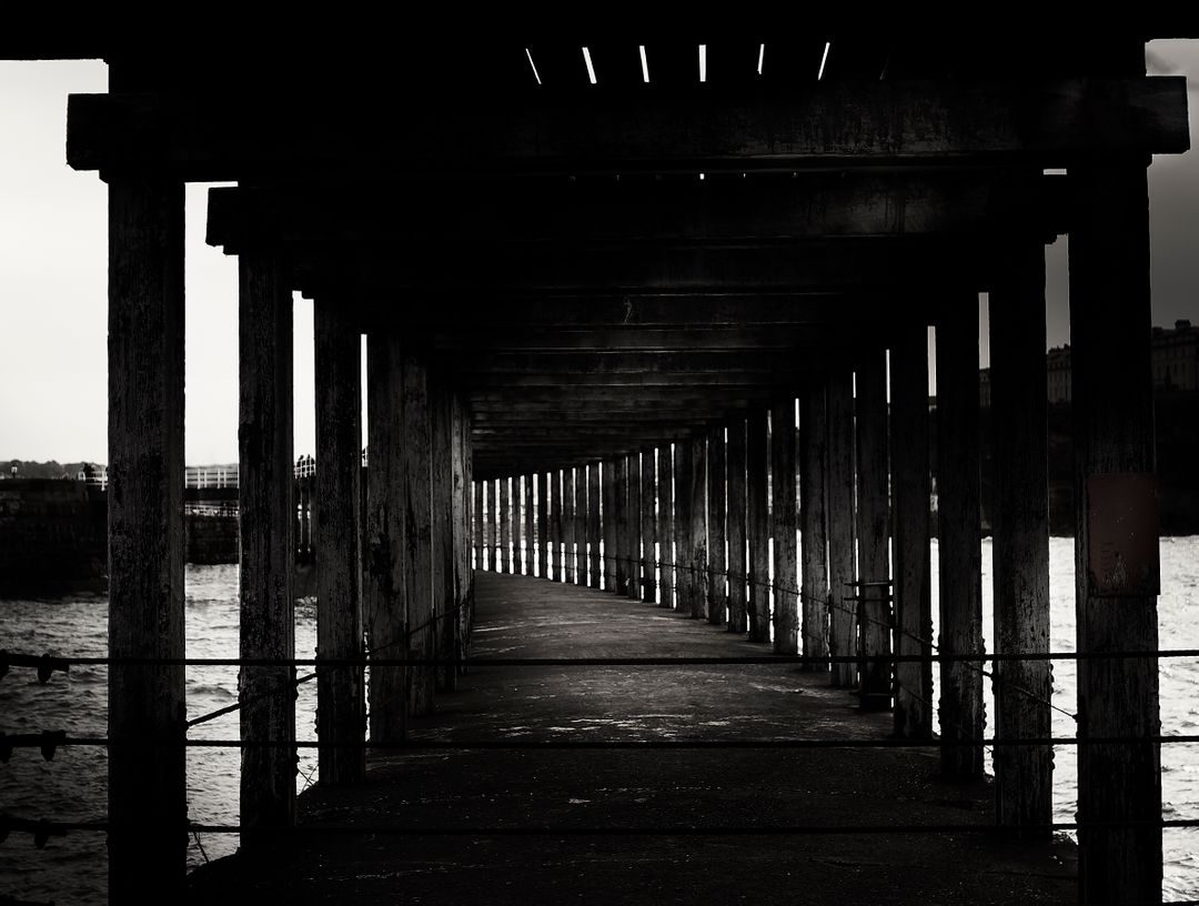 Dramatic Black and White Pier with Wooden Columns Leading to Water - Free Images, Stock Photos and Pictures on Pikwizard.com