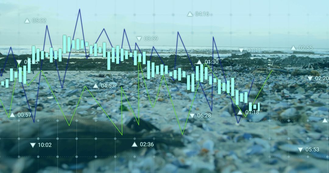 Finance Data Visualization on Seaside Landscape