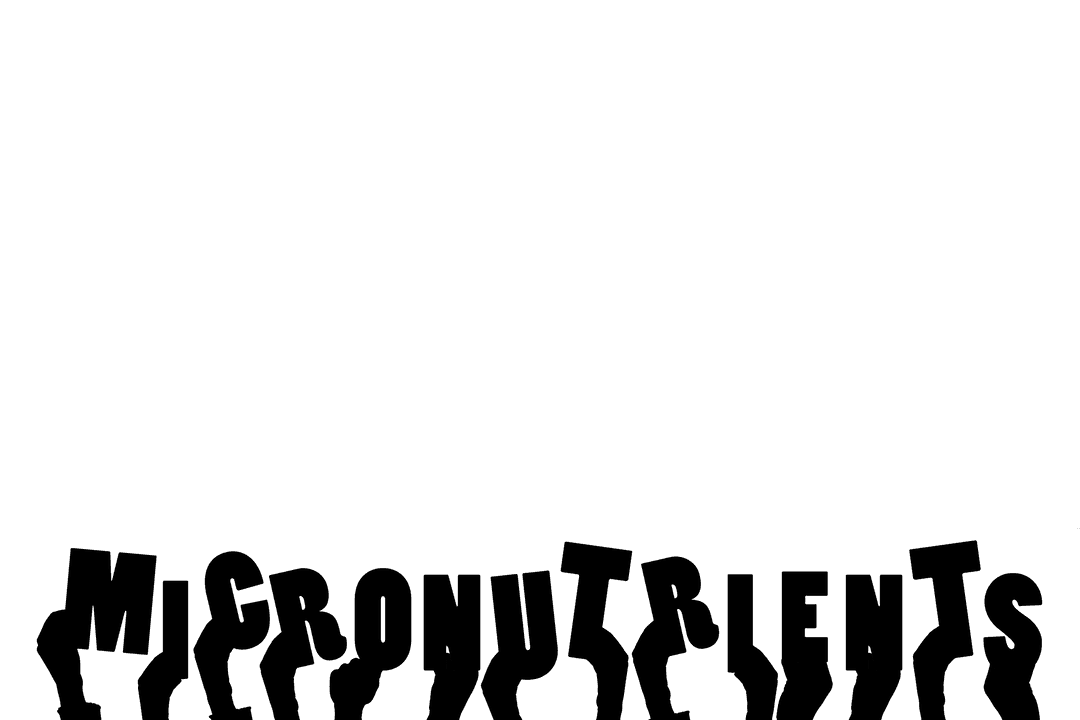 Transparent Illustration of Hands with Micronutrients Concept