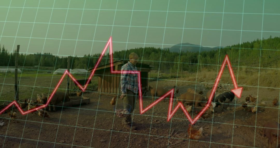 Farmer Feeding Animals with Graph Overlay Representing Agriculture Trends