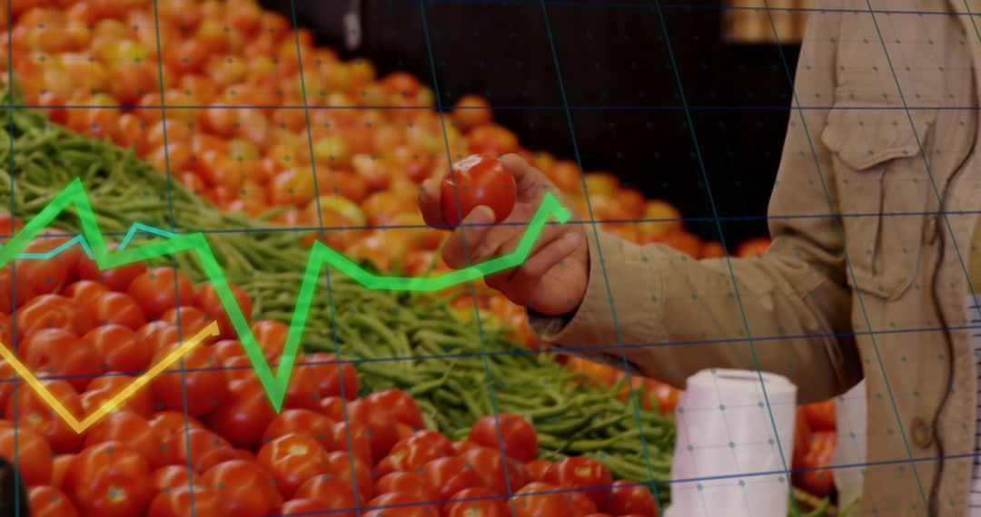 Technology and Data Processing in Retail Environment