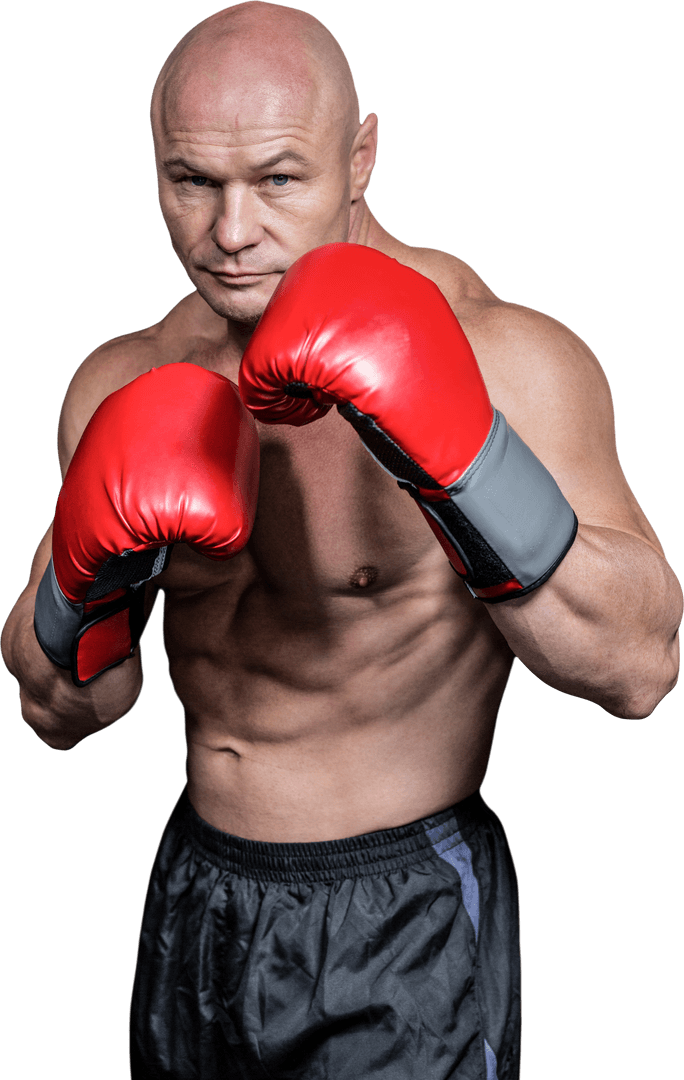 Portrait of Boxer in Red Gloves in Fighting Stance Transparent Background - Download Free Stock Images Pikwizard.com