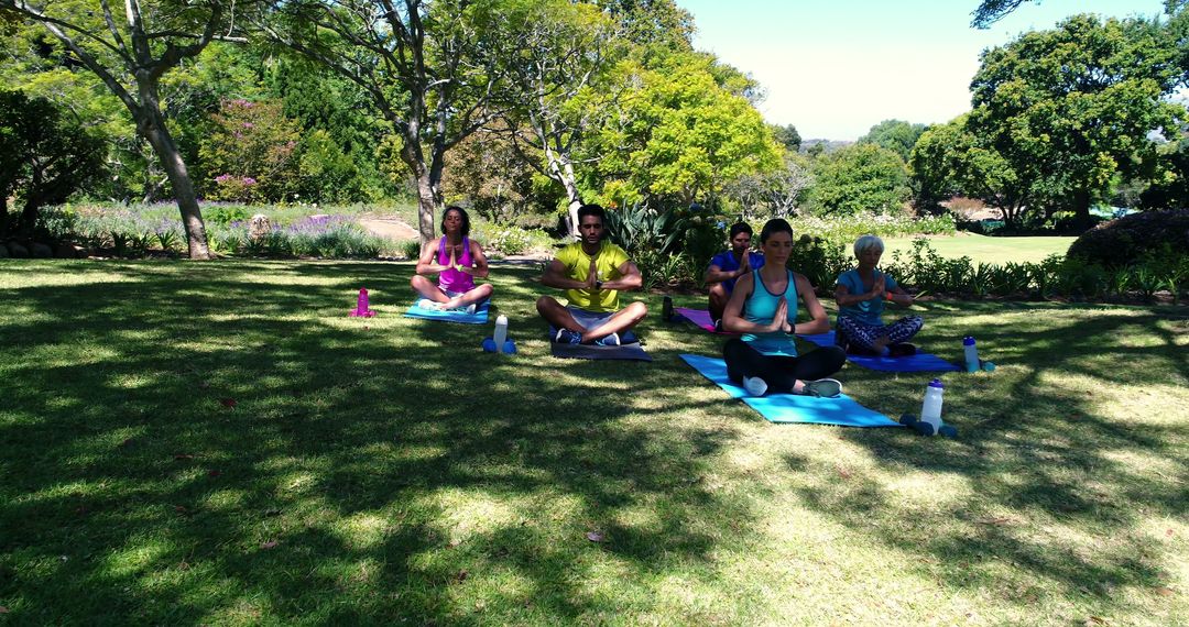 Diverse Group Practicing Yoga Outdoors in Peaceful Park Setting - Free Images, Stock Photos and Pictures on Pikwizard.com