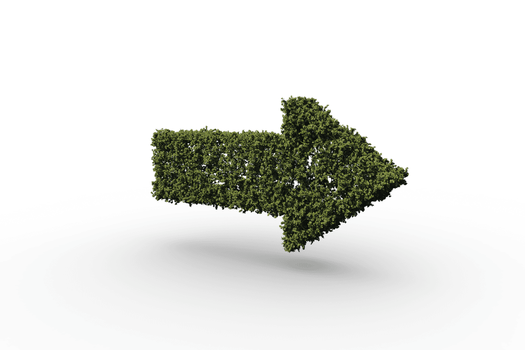 Transparent Leaf Arrow Symbol on Clear Background