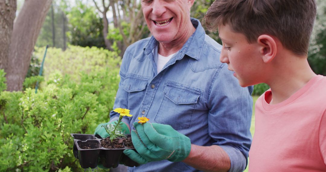 Father and Son Gardening Together Planting Flowers Outdoors - Free Images, Stock Photos and Pictures on Pikwizard.com