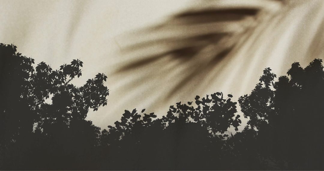 Modern Art Style Silhouette of Trees with Palm Frond