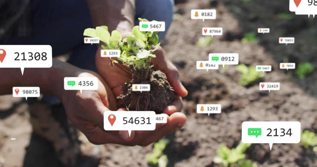 Digital Integration in Sustainable Agriculture with Green Seedling