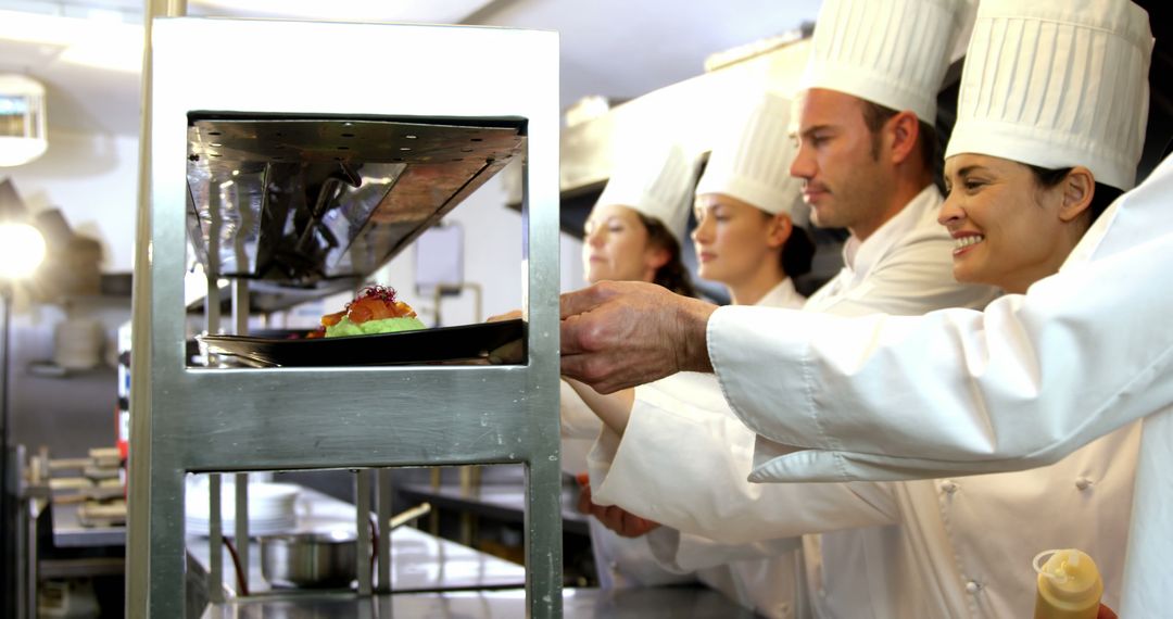 Professional Chefs Plating Gourmet Dish in Restaurant Kitchen - Free Images, Stock Photos and Pictures on Pikwizard.com