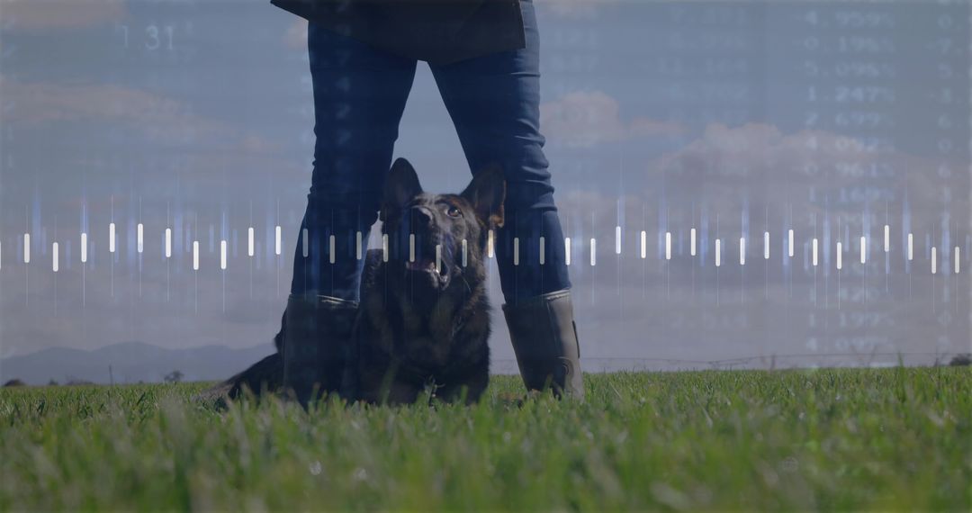 Dog and Handler in Peaceful Field with Audio Waveform Overlay