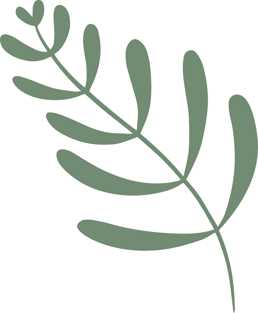 Minimalist Green Botanical Sprig with Twelve Leaves on Transparent