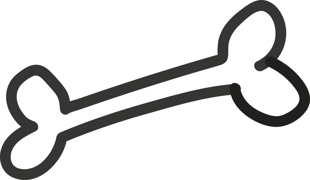 Vector Stylized Bone Outline on Transparent Background