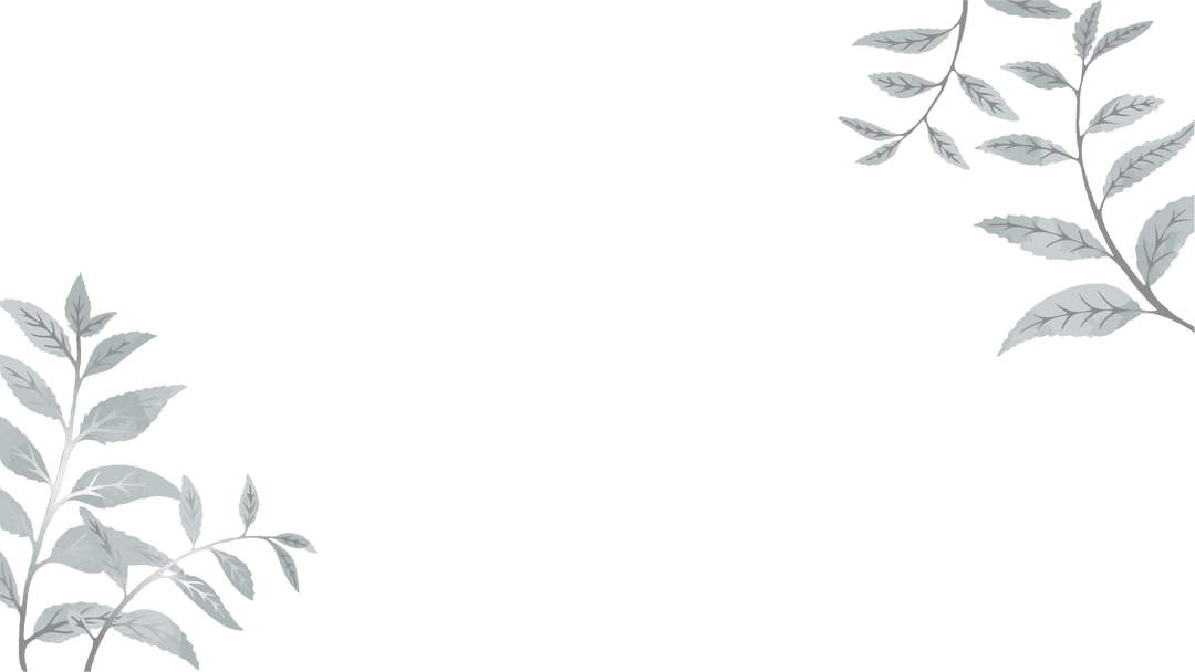 asymmetric transparent leaf border on minimal botanical canvas - Download Free Stock Images Pikwizard.com