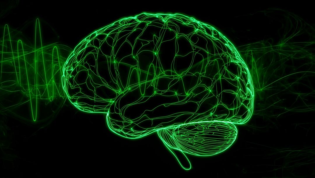 Neon Green Digital Brain with Waveform Patterns Representing AI
