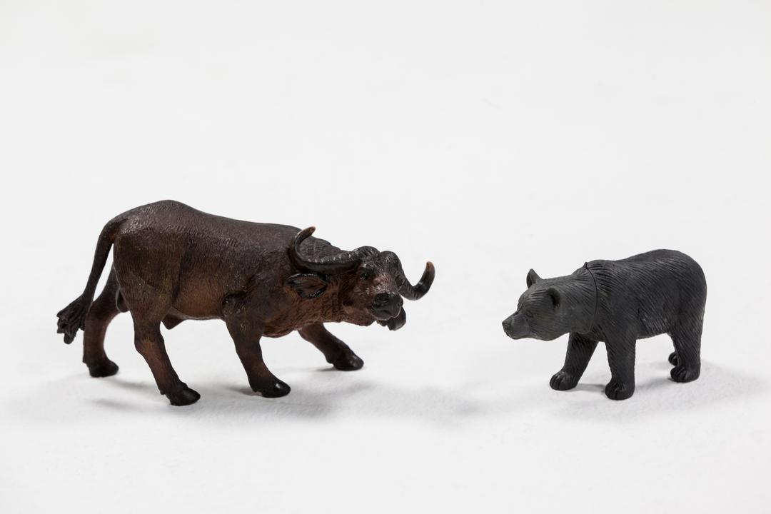 Miniature Bear and Charging Buffalo on White Background - Free Images, Stock Photos and Pictures on Pikwizard.com