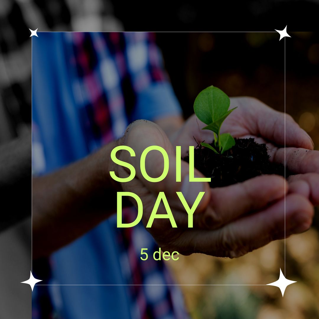 Soil Day Celebrated with Seedling in Hands