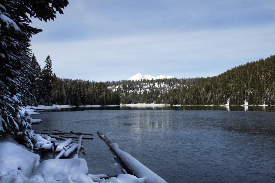 Snow-Covered Mountain Lake with Pine Forest, Frozen Shoreline and Serene Winter Landscape