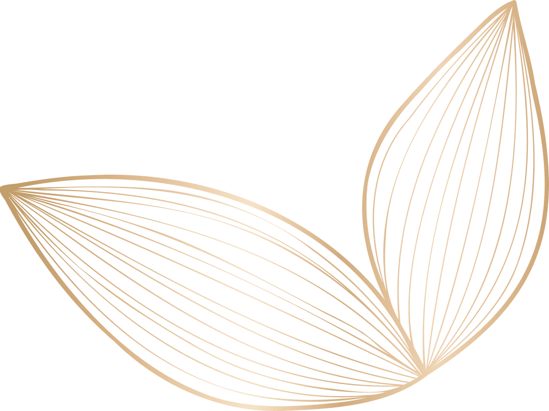 Elegant Gold Leaf Motifs on Transparent Background