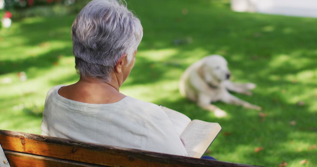 Senior Woman Reading Book on Bench with Dog Relaxing on Lawn - Free Images, Stock Photos and Pictures on Pikwizard.com