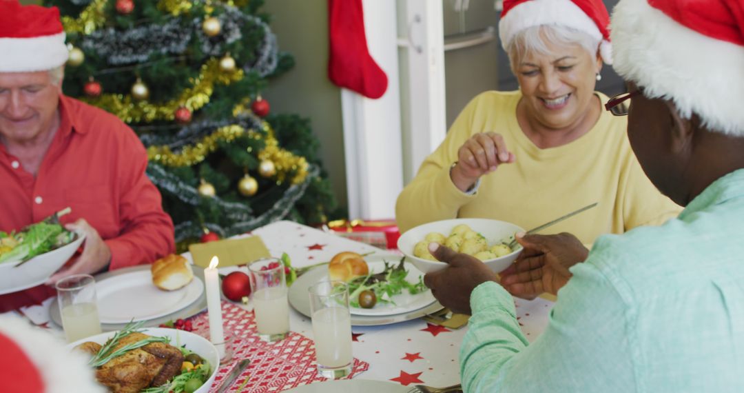 Diverse Senior Friends Enjoying Christmas Dinner Together - Free Images, Stock Photos and Pictures on Pikwizard.com