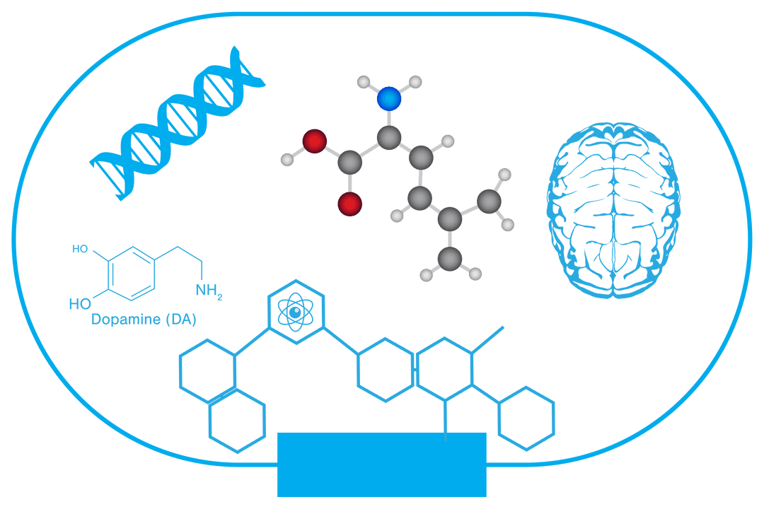 Science Icons with Brain and Molecules on Transparent Background
