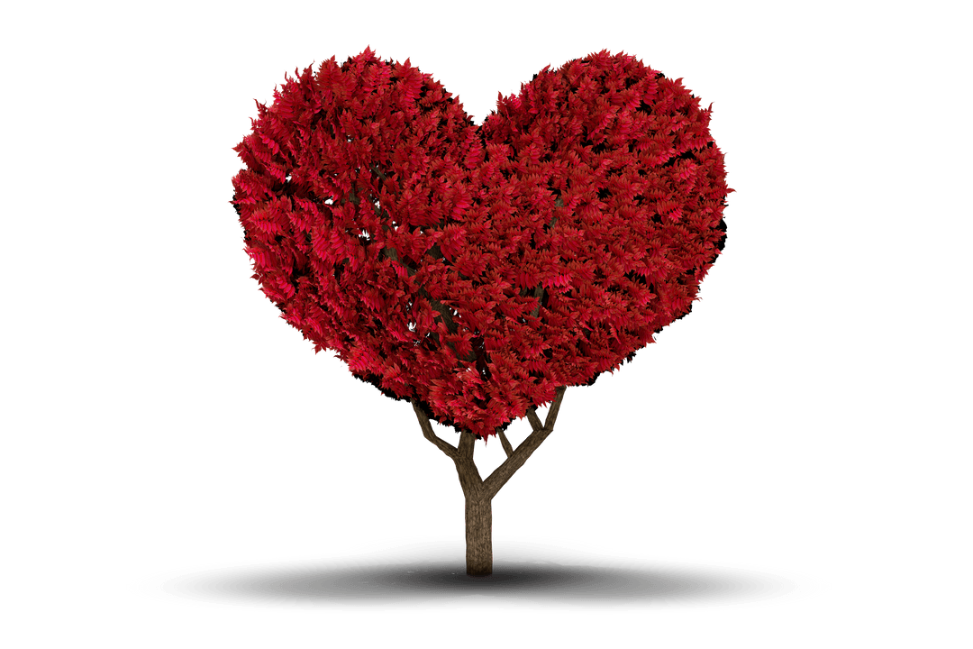Heart Shaped Tree Illustration on Transparent Background
