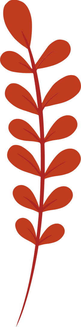 Botanical Red Branch with Transparent Background and Oval Leaves