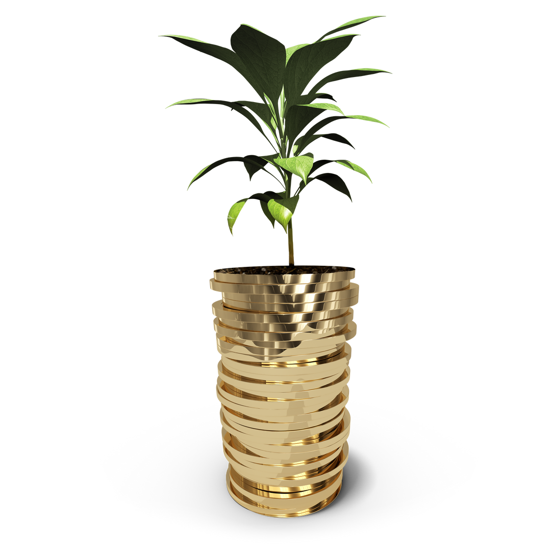 Digital Illustration of Growing Plant in Stack of Gold Coins on Transparent Background - Download Free Stock Images Pikwizard.com