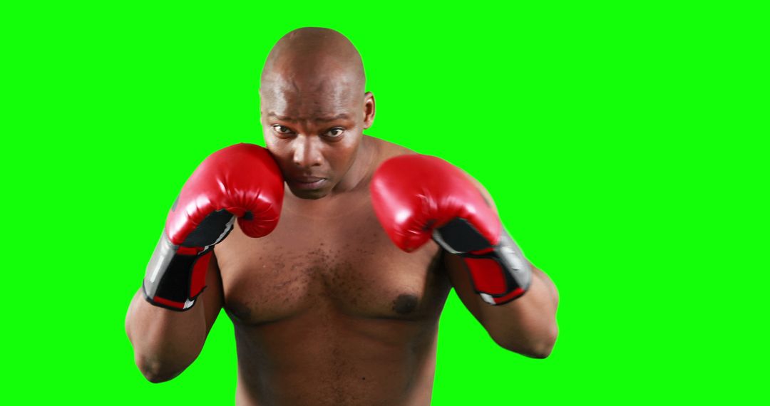 Shirtless Boxer Wearing Red Gloves in Fight Stance on Green Screen Background - Free Images, Stock Photos and Pictures on Pikwizard.com