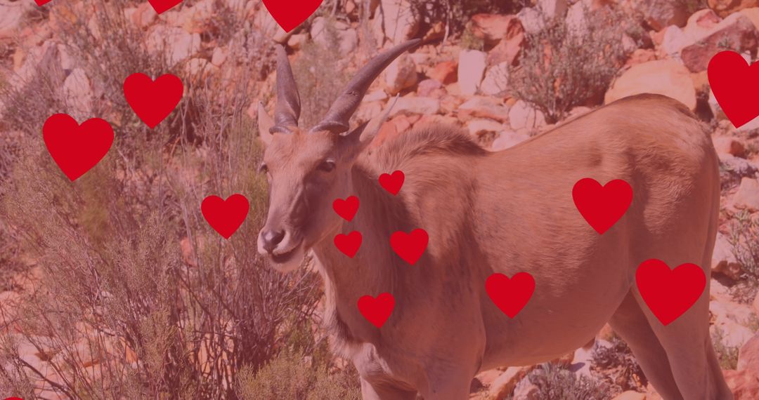 Antelope with Digital Hearts on Savanna Background