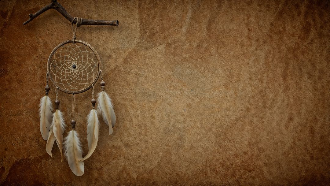 Rustic Dreamcatcher with Feathers on Textured Background