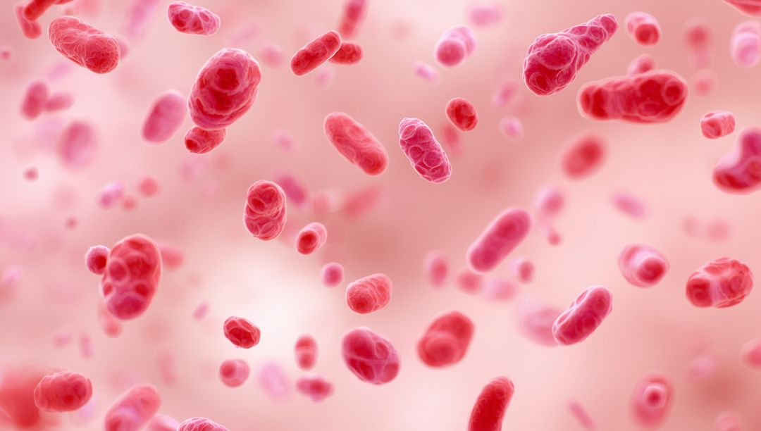 AI-Generated Microscopic Red Rod-Shaped Bacterial Cells