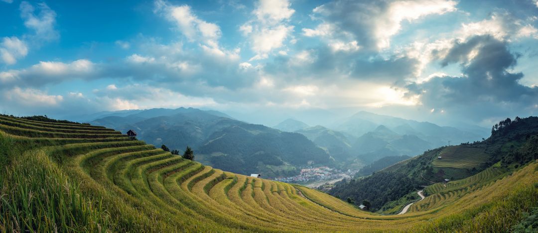 Panoramic View of Terraced Rice Fields in Mountainous Landscape - Free Images, Stock Photos and Pictures on Pikwizard.com