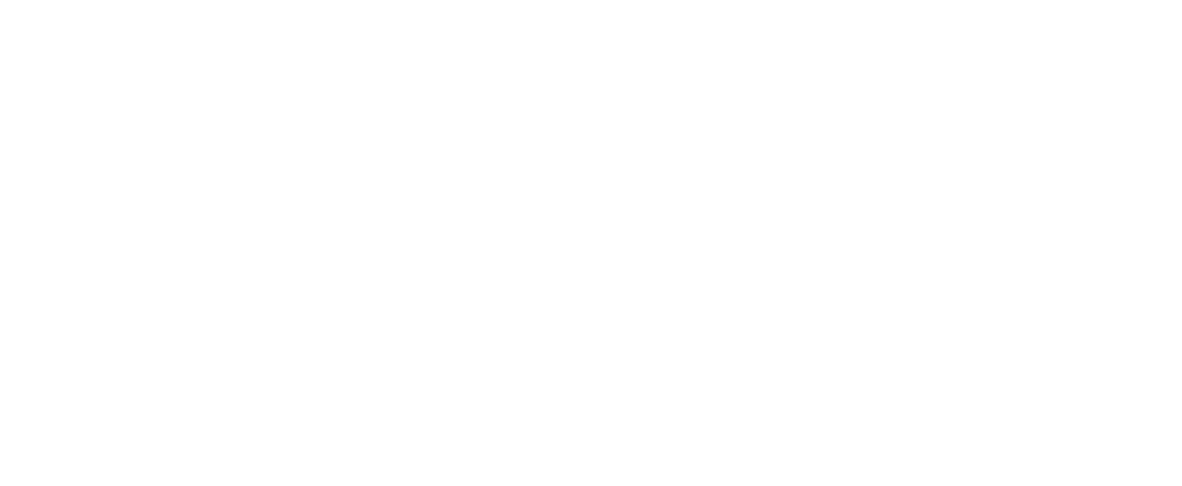 Spider Web Patterns on Transparent Background for Creative Designs