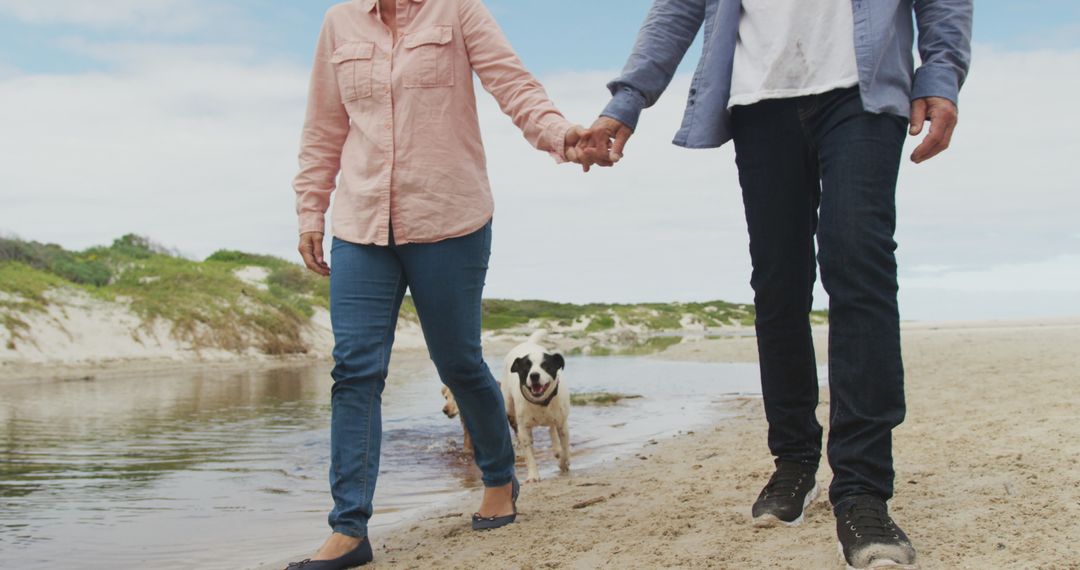 Senior Couple Walking Hand in Hand on Beach with Dog